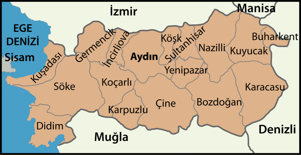 Aydın ambar
